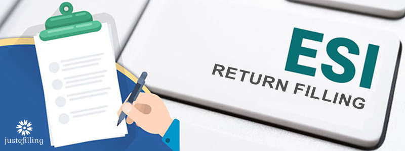 EPF/ESI Return Filling
